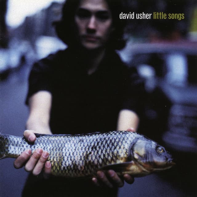 Album cover art for Little Songs