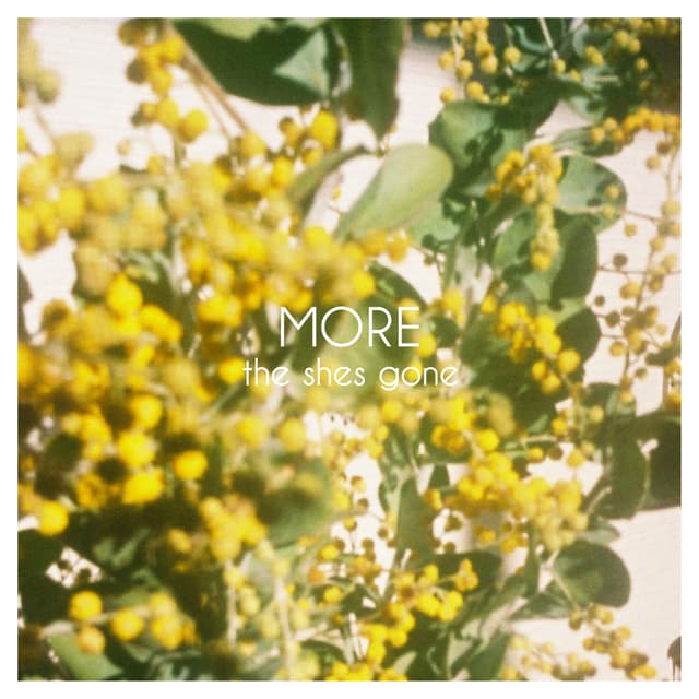 Album cover art for MORE