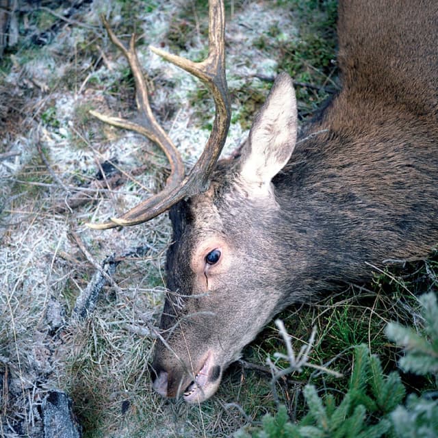 Album cover art for Plan Your Escape