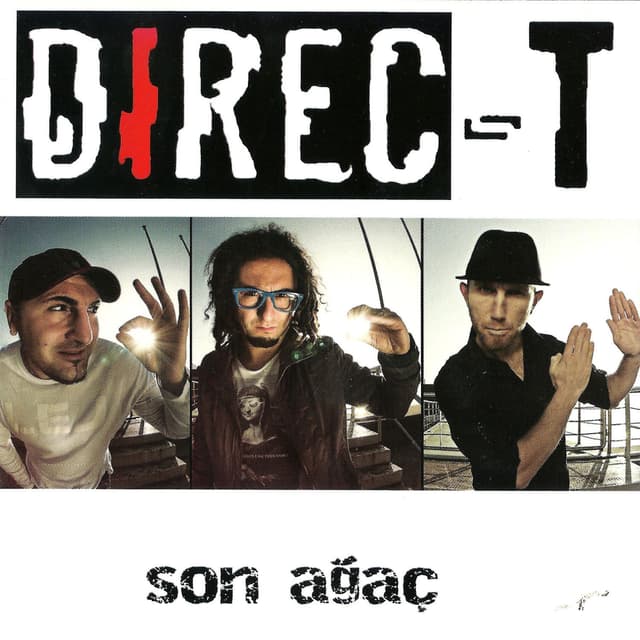 Album cover art for Son Ağaç