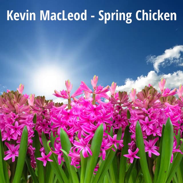 Album cover art for Spring Chicken