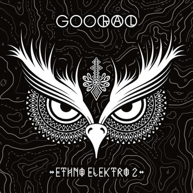 Album cover art for Ethno Elektro 2