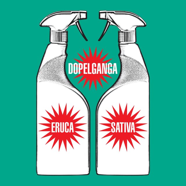 Album cover art for Dopelganga