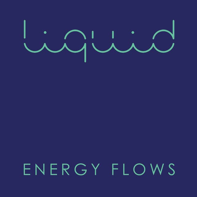Album cover art for Energy Flows