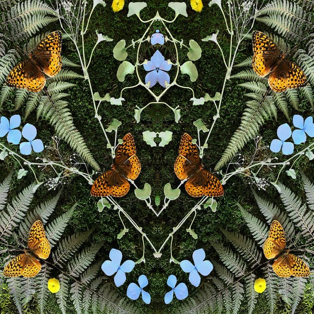 Album cover art for aubades