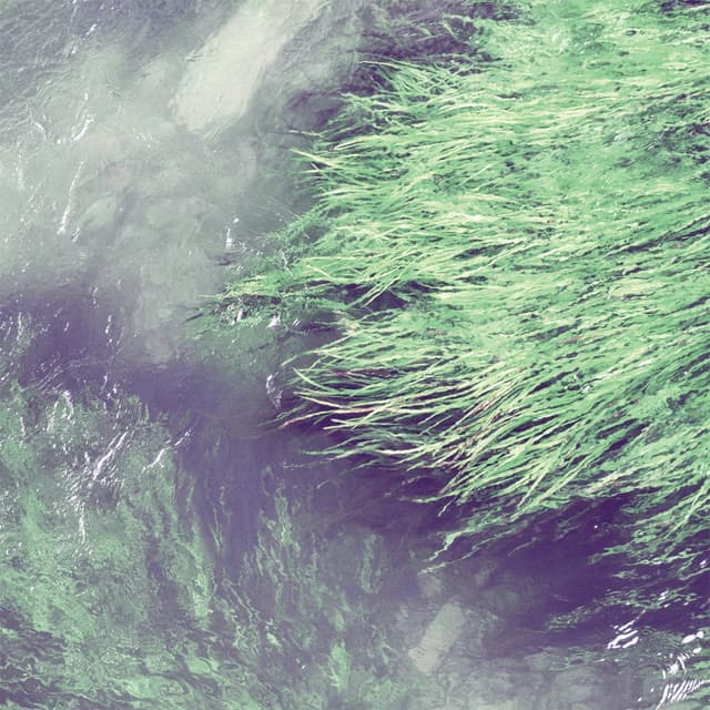 Album cover art for Give In