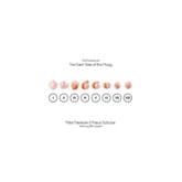 Album cover art for The Evolution of the Dark Side of the Moog