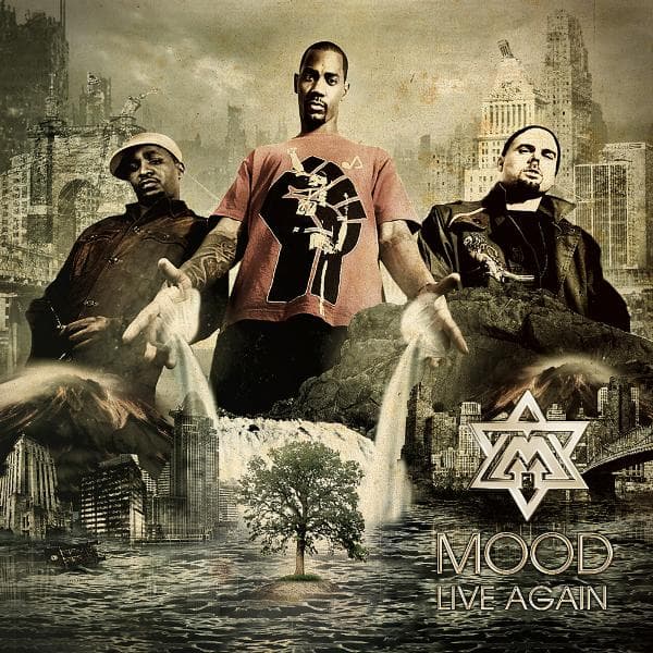 Album cover art for Live Again
