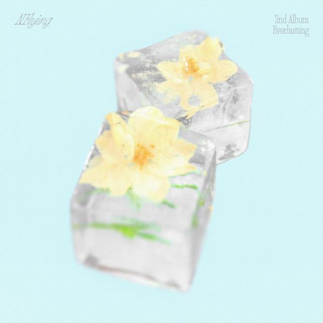 Album cover art for Everlasting