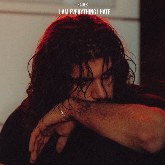 Album cover art for I Am Everything I Hate