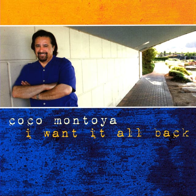 Album cover art for I Want It All Back