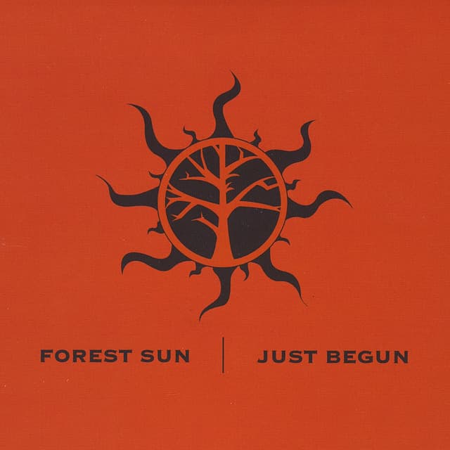 Album cover art for Just Begun