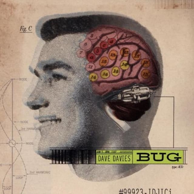 Album cover art for Bug
