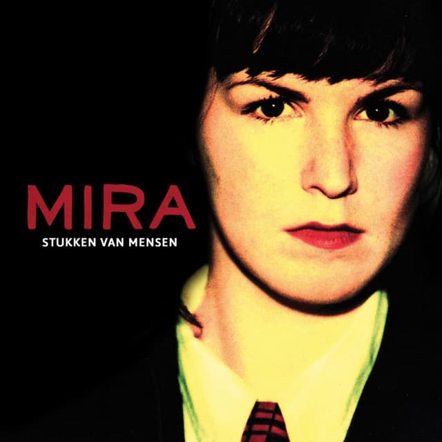 Album cover art for Stukken Van Mensen