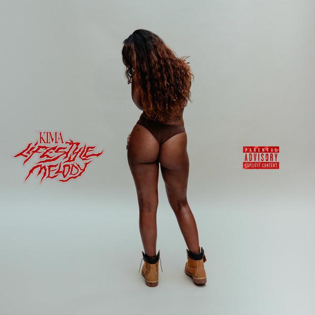 Album cover art for Lifestyle Melody