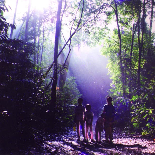 Album cover art for Boa Howl