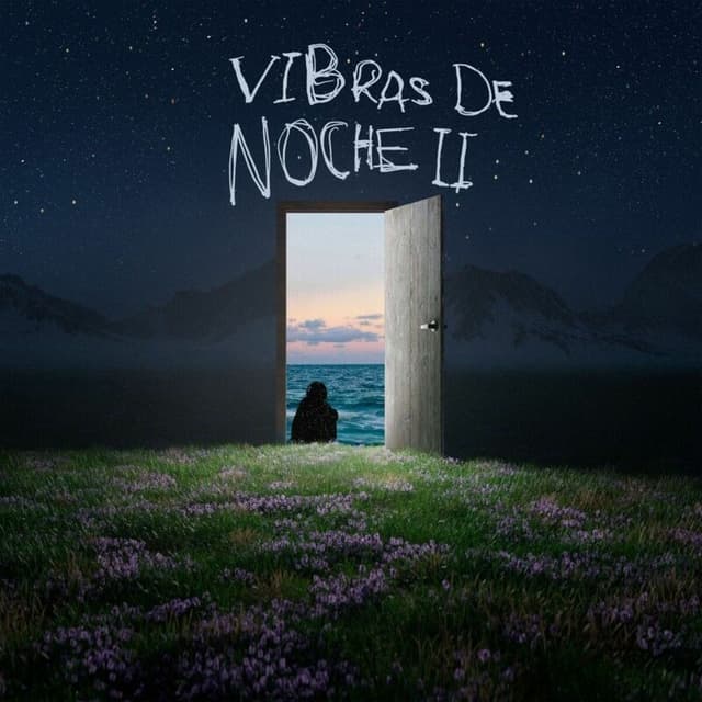 Album cover art for Vibras De Noche II