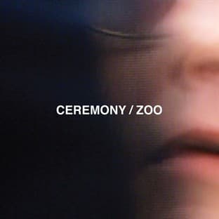 Album cover art for Zoo
