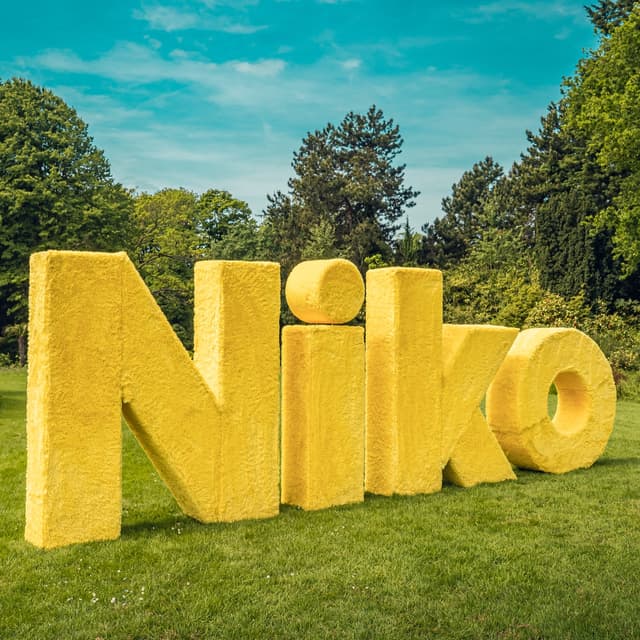 Album cover art for Niko