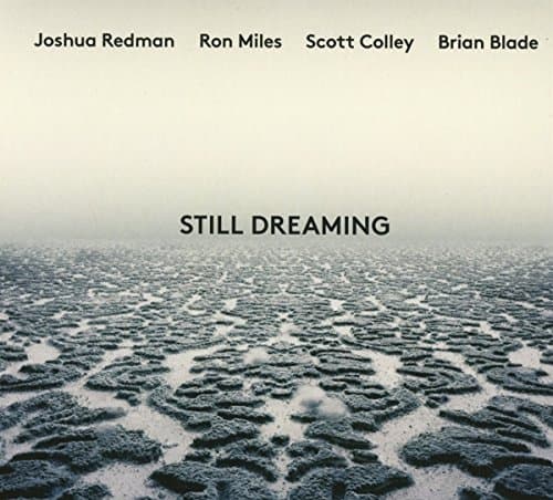 Album cover art for Still Dreaming