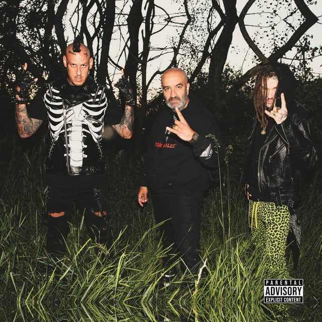 Album cover art for HUHU