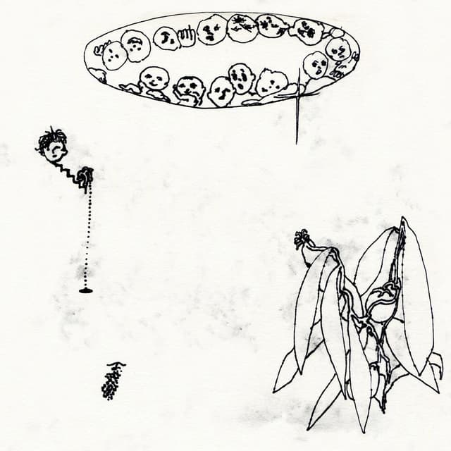 Album cover art for snow8