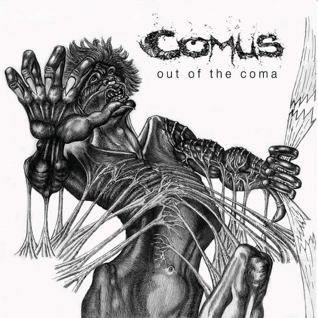 Album cover art for Out Of The Coma