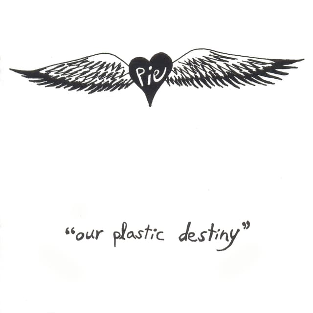 Album cover art for Our Plastic Destiny