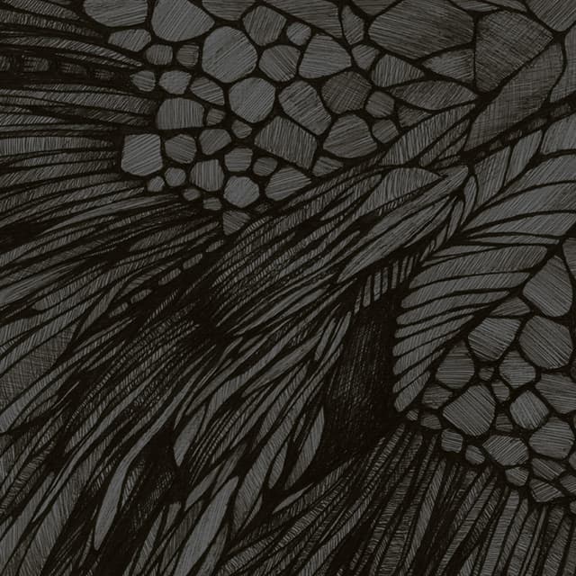 Album cover art for Overflow