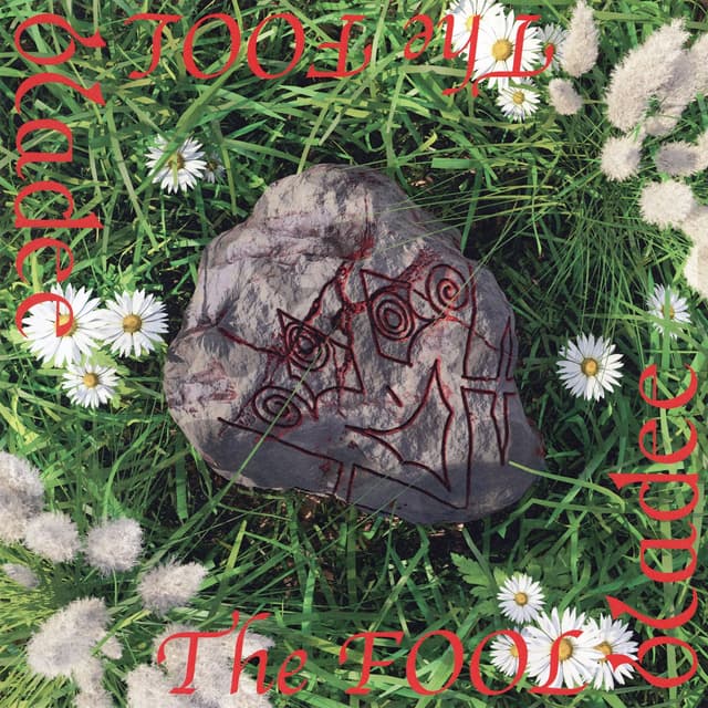 Album cover art for The Fool