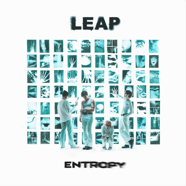 Album cover art for Entropy