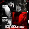 12 BANDE