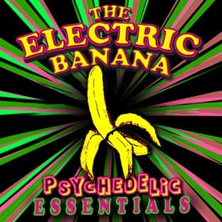Album cover art for Psychedelic Essentials