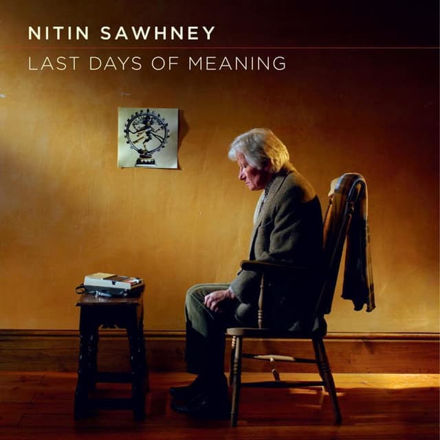 Album cover art for Last Days Of Meaning