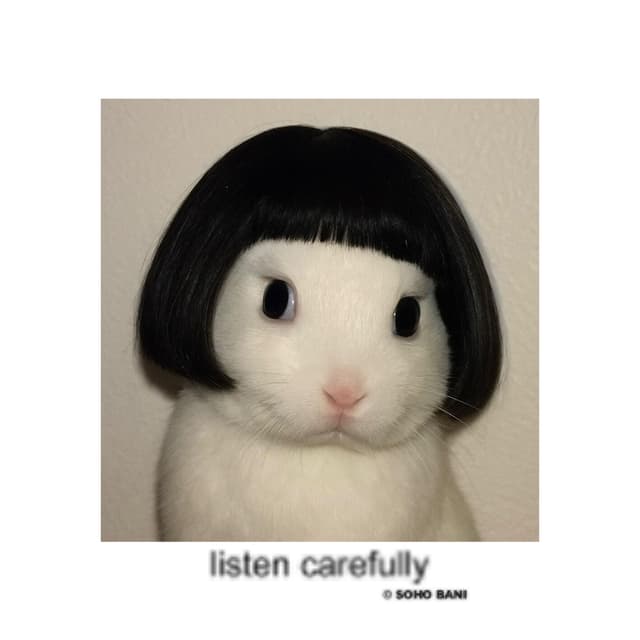 Album cover art for listen carefully