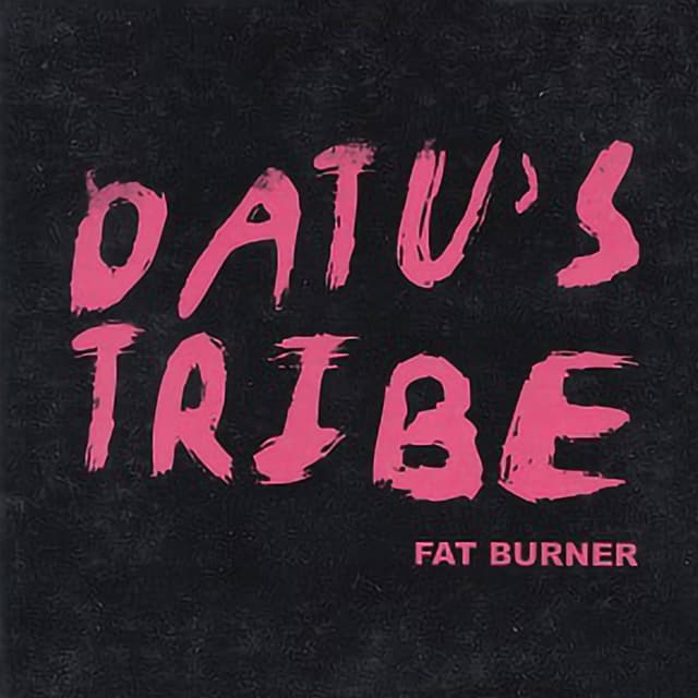 Album cover art for Fat Burner