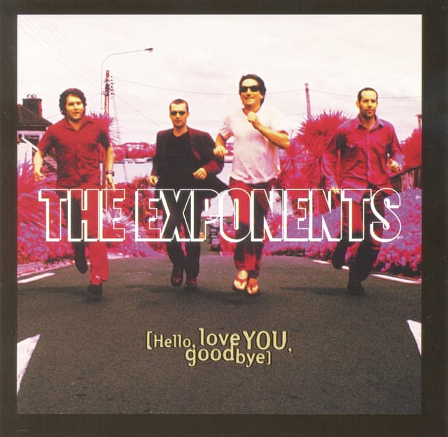 Album cover art for Hello, Love You, Goodbye