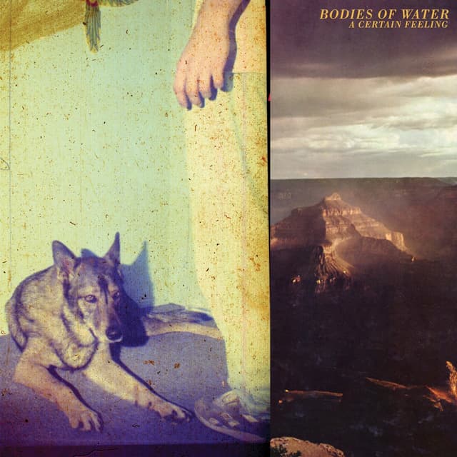 Album cover art for A Certain Feeling