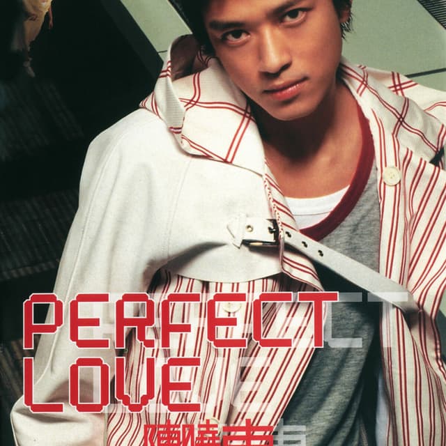 Album cover art for Perfect Love
