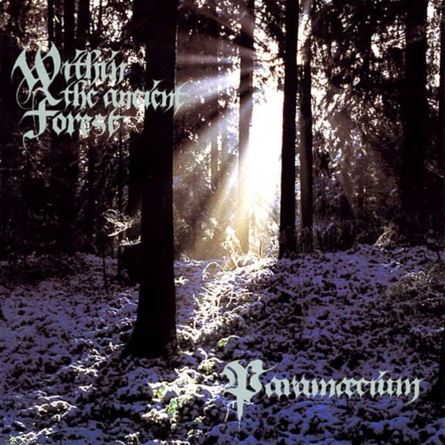 Album cover art for Within the Ancient Forest