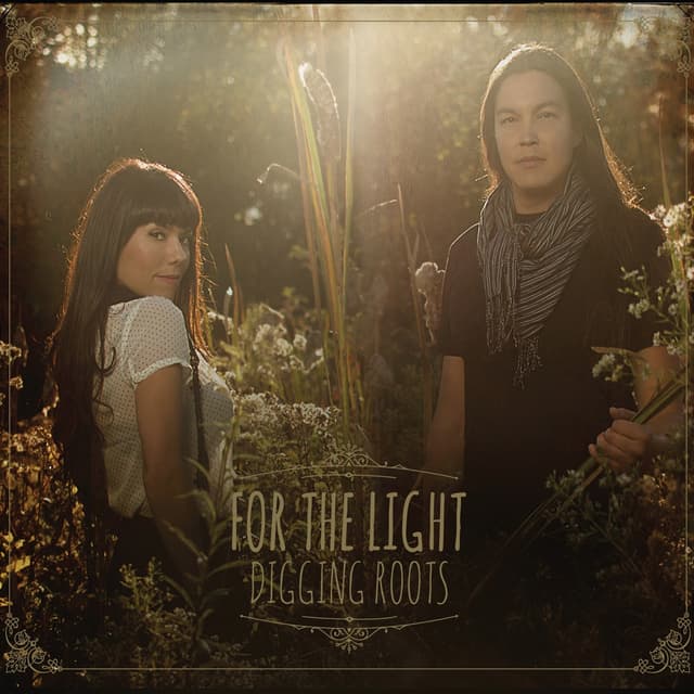 Album cover art for For the Light