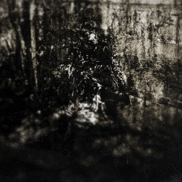 Album cover art for MoRT