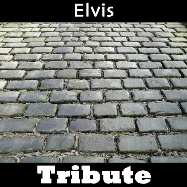 Album cover art for All Shook Up: Tribute To Elvis Presley Part 2