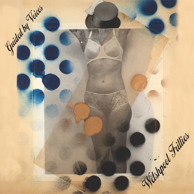 Album cover art for Welshpool Frillies