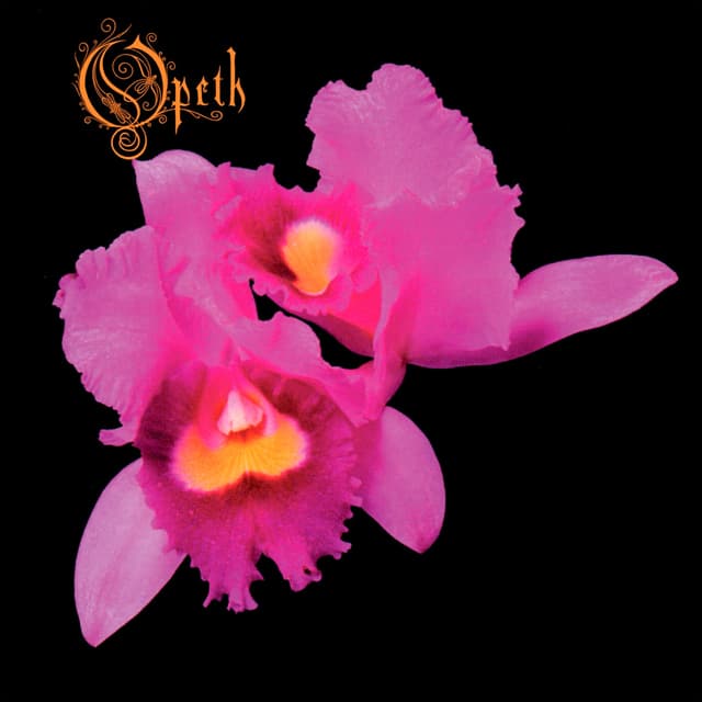 Album cover art for Orchid