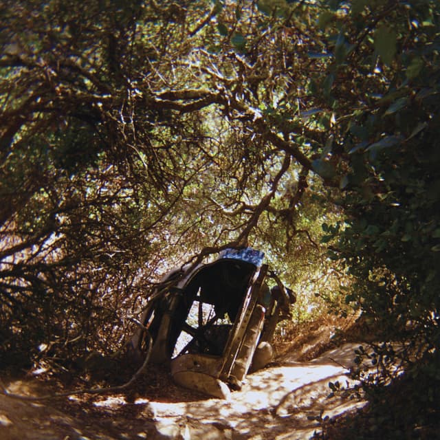 Album cover art for Possession