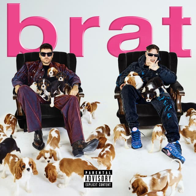 Album cover art for Brat