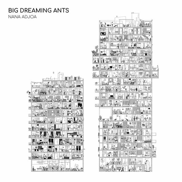 Album cover art for Big Dreaming Ants