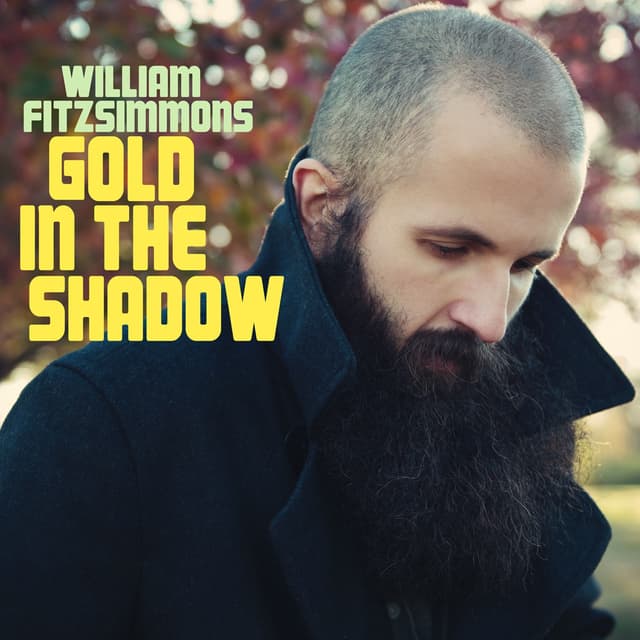 Album cover art for Gold in the Shadow