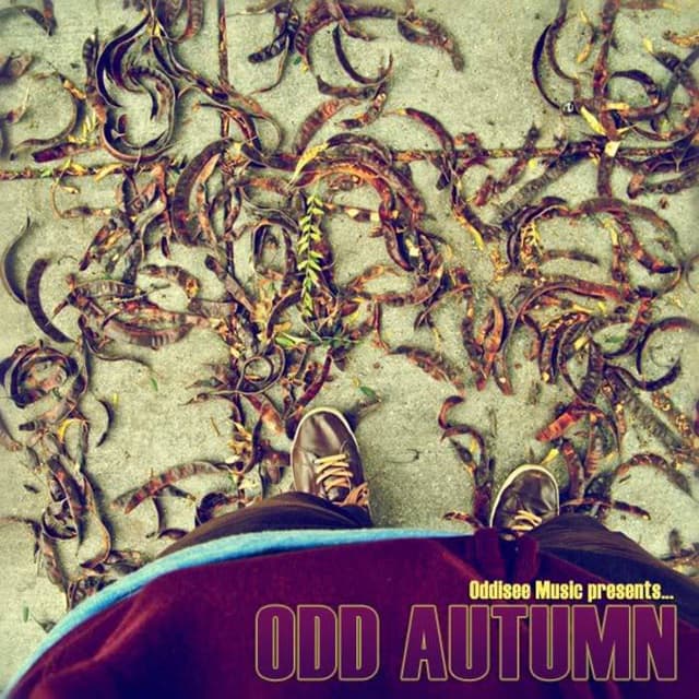 Album cover art for Odd Autumn